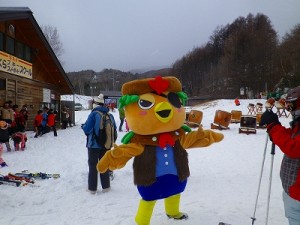 IMGP1378