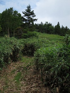 koc140130 (12)