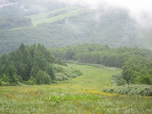 美しい風景