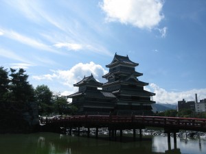 梅雨の合間　花