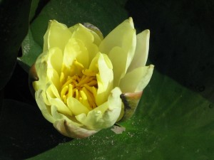 IMG_7768