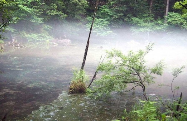 photo82773