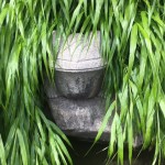 IMG_0015