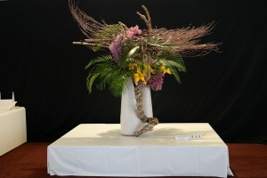 9.8DSC_1546 (5)