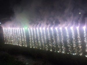 IMG_5213