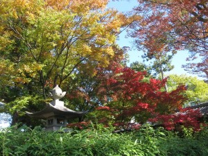 松本神社２