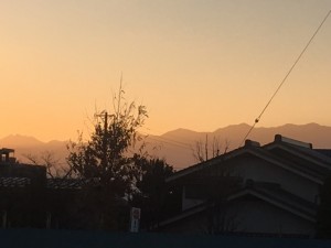 IMG_7701