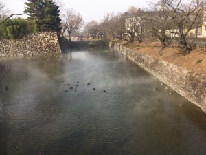 IMG_8372