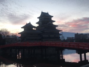 IMG_8548