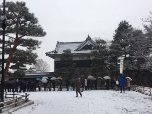 IMG_8593