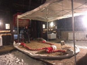 IMG_8781