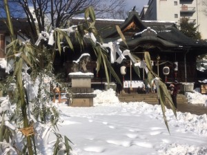 IMG_8795