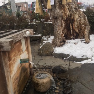柳の井戸