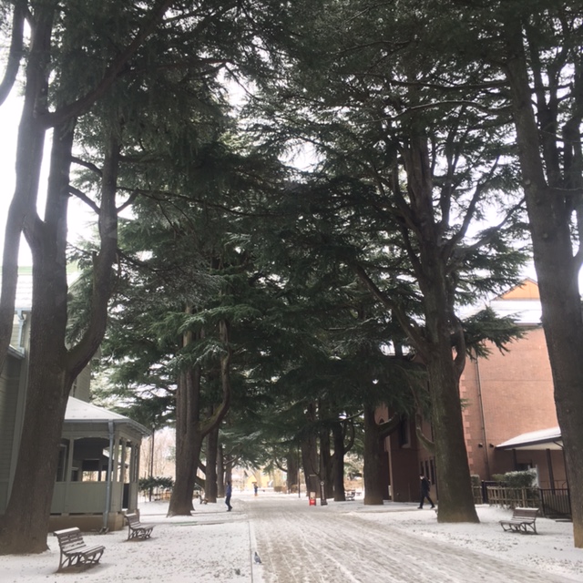 あがたの森　平成28年度 松本市景観シンポジウム