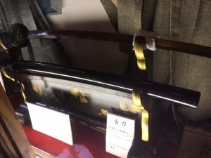 IMG_0060