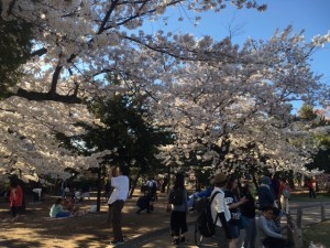 2017-4-18  松本城公園２