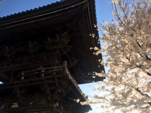 2017-4-18旧 念来寺