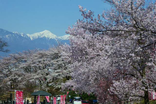 常念岳と弘法山の桜
