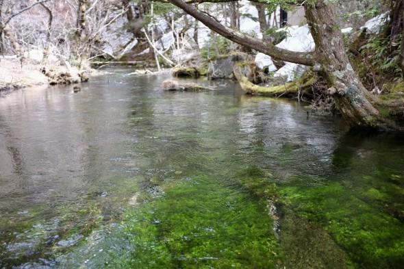 Crystal clear water from the natural spring