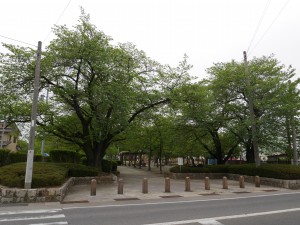 30電梯旁公園