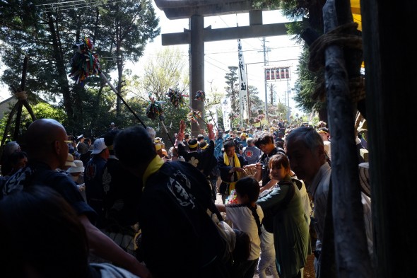 Crowd watching the Onbashira log getting pulled through the shrine gate.