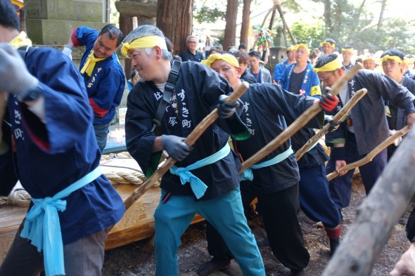 Using large sticks in attempt to lift the front of the log over a small step.