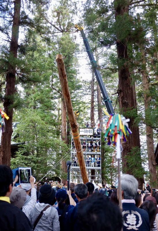 Onbashira log being lifted by a crane.