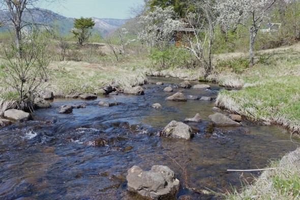 A small creek that runs through the festival grounds (it's ICE cold!)
