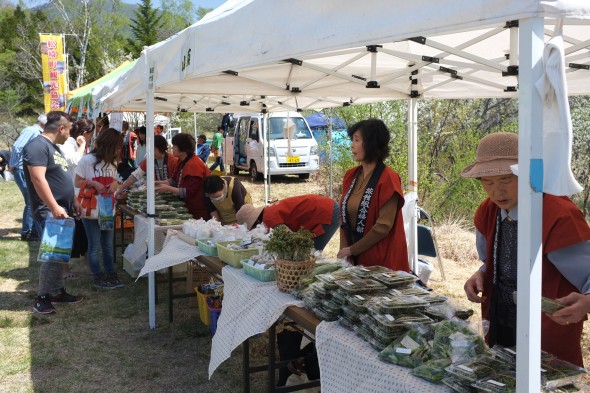 Booths selling "sansai" - edible plants from the mountains - at the festival.