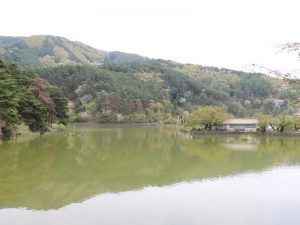 山桜と千鹿頭池