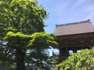 IMG_3647