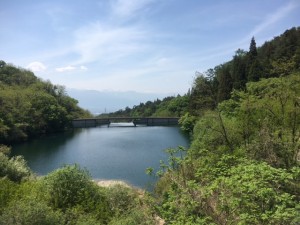 IMG_3791