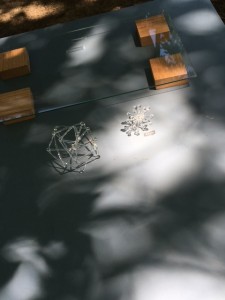 IMG_3990