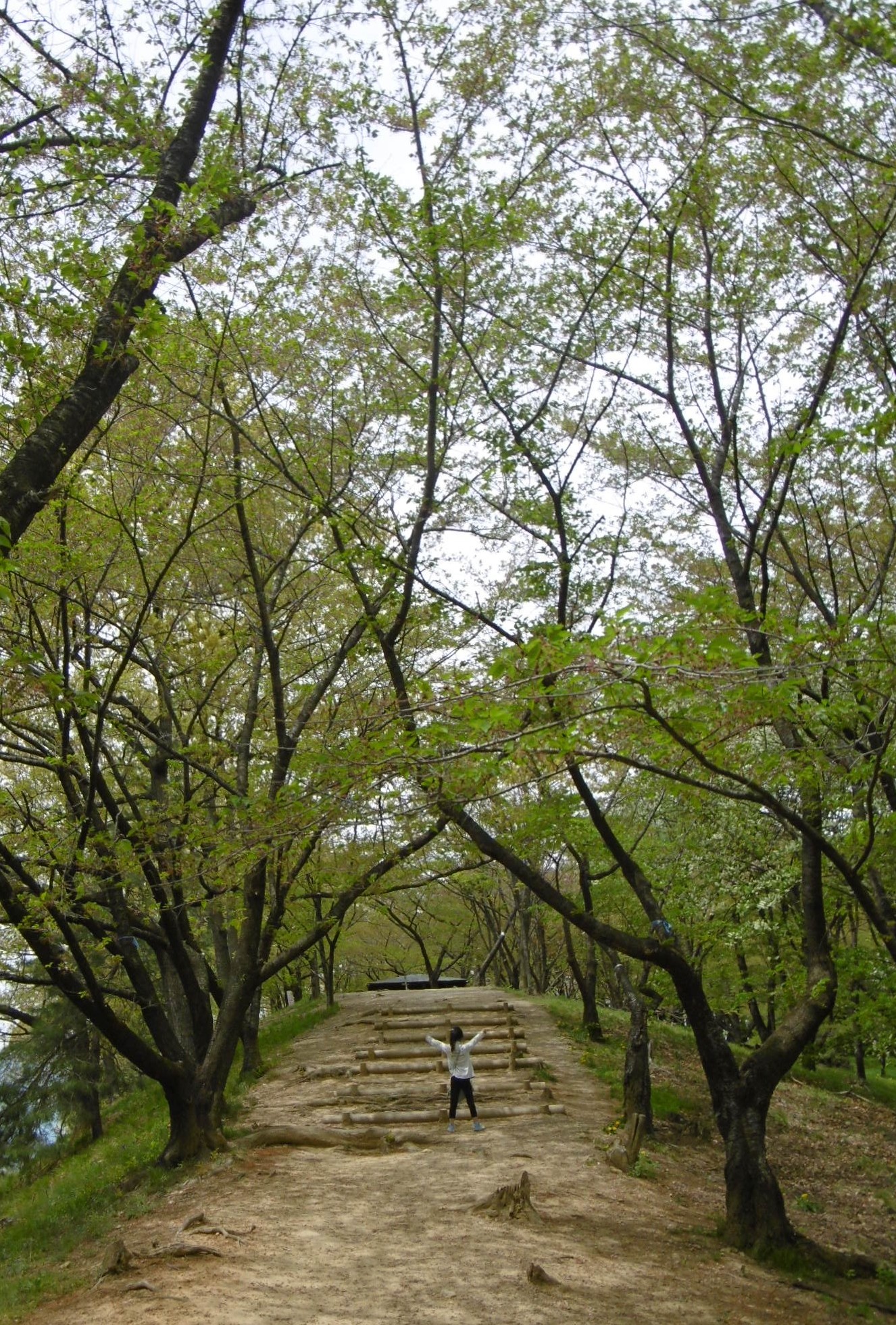 P1010871