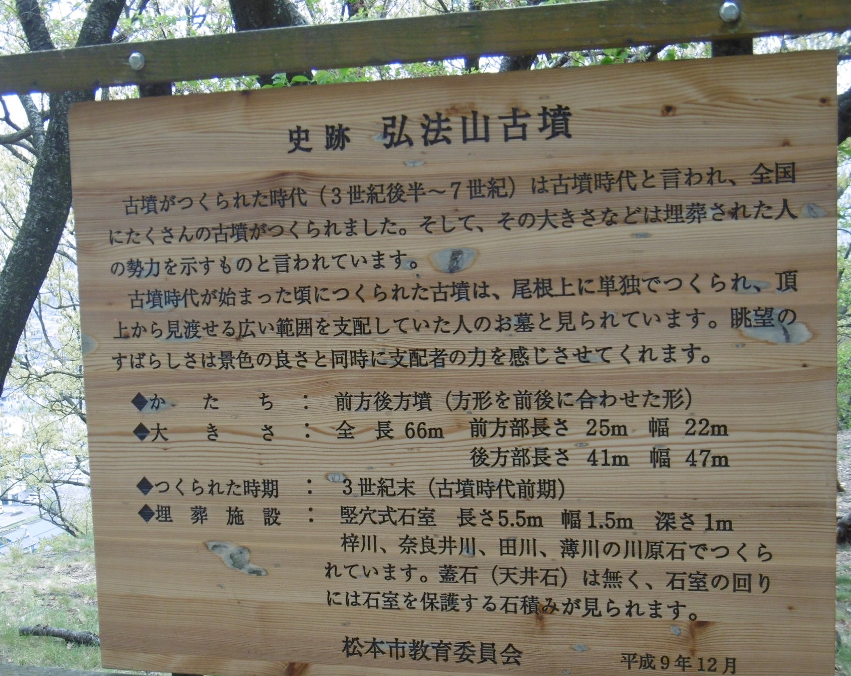 P1010873