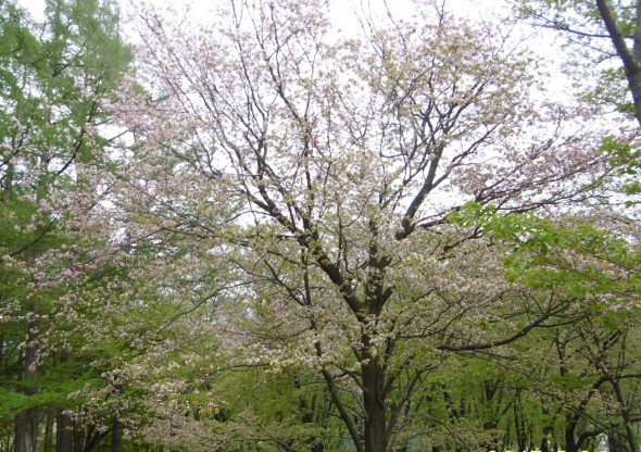P1010882