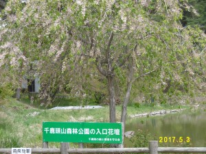 P1010885