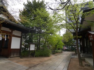 P1610469