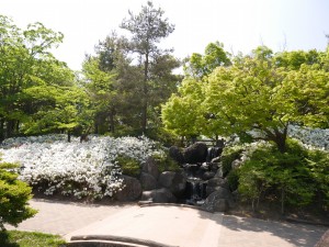 P1620281