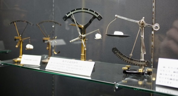 Some of the different silkworm cocoon scales.