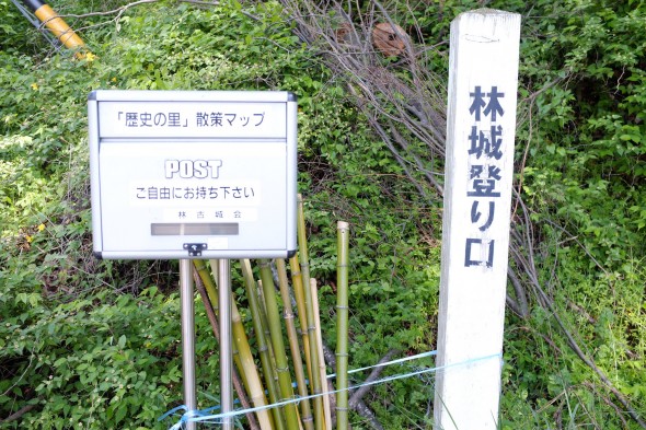 Bamboo hiking sticks free to borrow! Maps located in the box.