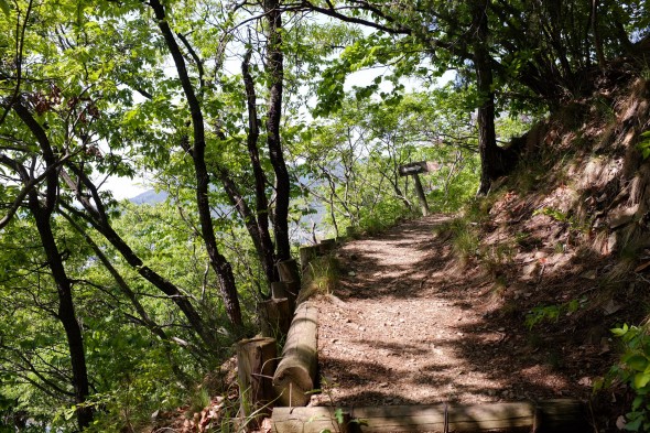 Start of the trail