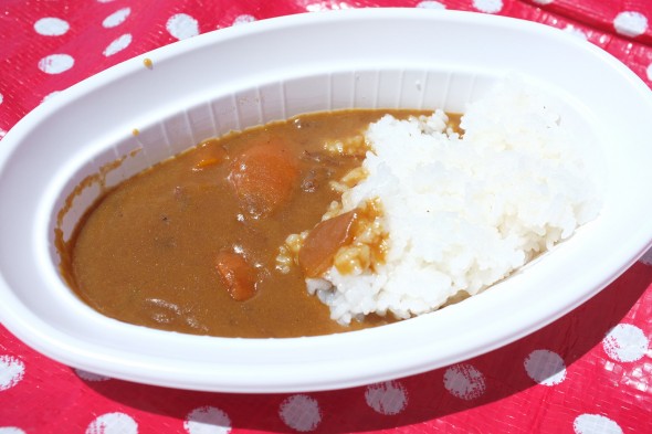 Curry with (very small pieces of) deer meat