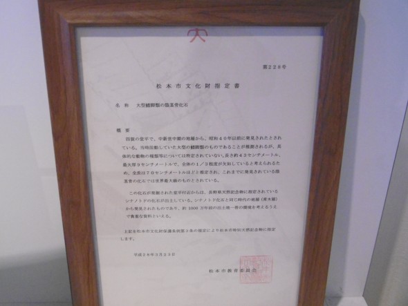 P1020019