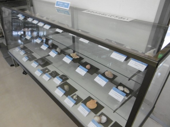 P1020023 (2)
