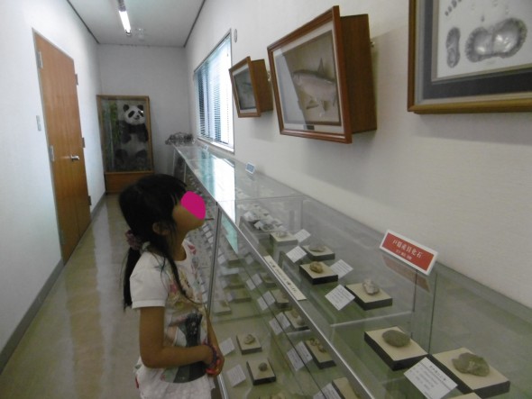 P1020026_LI