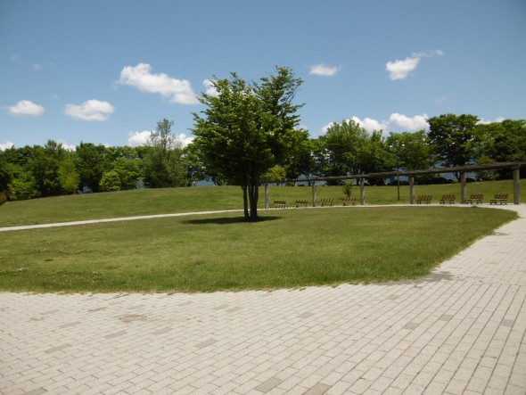 P1020296
