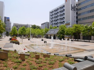 P1620495