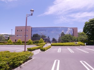 P1620853