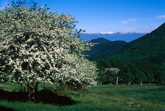 img446c641d75702